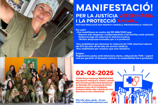 Hablamos con Laia Sàbat, impulsora de la Manifestación por la Justicia Veterinaria y la Protección Animal.