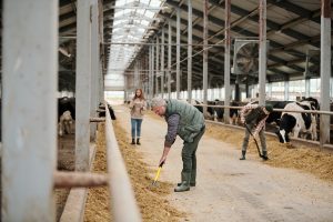 El 80% de los autónomos que ha perdido la provincia de León en 2024, eran agricultores o ganaderos