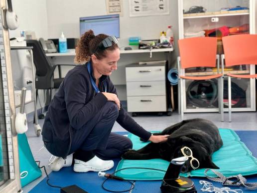 La Generalitat destaca la labor de atención de animales afectados por la dana: 