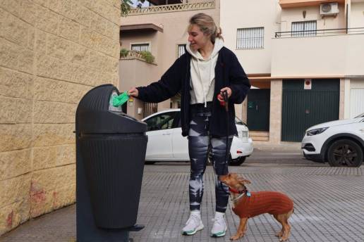Alcalá pide a los propietarios de mascotas que 