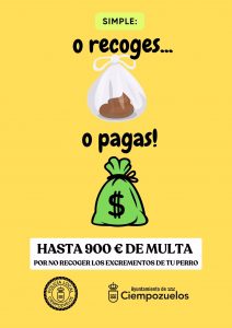 'O recoges o pagas', la campaña del Ayuntamiento contra quienes no recogen los excrementos de sus perros