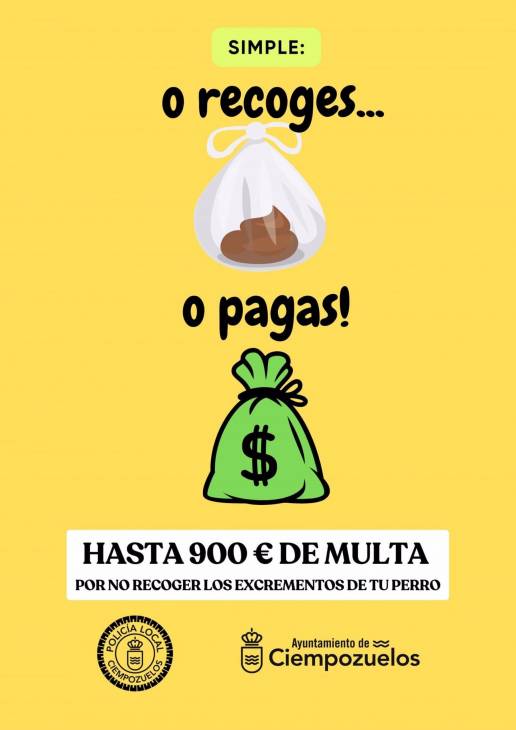 'O recoges o pagas', la campaña del Ayuntamiento contra quienes no recogen los excrementos de sus perros