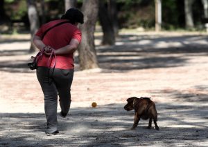  Hallan salchichas con alfileres en varios parques de Vicálvaro