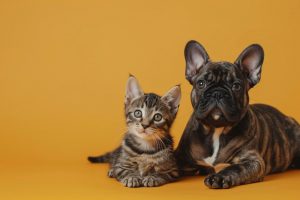 Alcalá de Guadaíra y el Colegio de Veterinarios suscriben convenio para un registro de animales de compañía