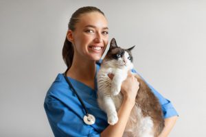 Un nuevo oprobio lacera a la profesión veterinaria