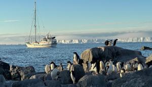 La expedición CSIC-UNESPA confirma la dispersión del virus de la gripe aviar de alta patogenicidad en el mar de Weddell