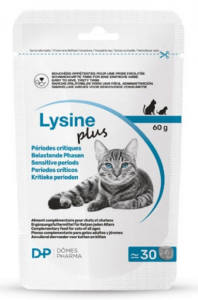 Lysine PLUS: El nuevo complemento alimenticio de referencia para apoyar la salud ocular en gatos y gatitos durante los periodos sensibles