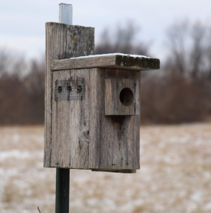 Ayuntamiento de Alhaurín de la Torre instala cajas-nido para la conservación de murciélagos y aves silvestres