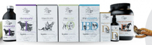HIFAS VET Innovación en la Micoterapia Veterinaria para el Bienestar Animal