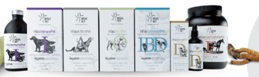 HIFAS VET Innovación en la Micoterapia Veterinaria para el Bienestar Animal