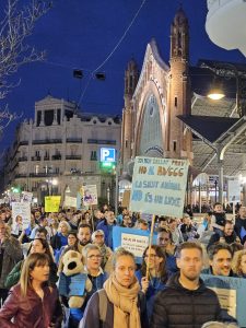 Los veterinarios claman contra la regulación impuesta: cuestiona su criterio profesional y encarece los tratamientos a los animales