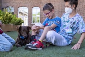 El poder de los perros en la lucha contra el Cáncer: transformando vidas con terapias asistidas