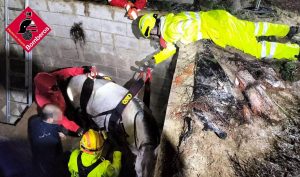 Bomberos rescatan a una yegua embarazada al caerse en un foso en Xixona