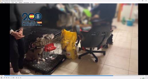  Desarticulan en Bizkaia una organización que estafó más de 150.000 euros vendiendo cachorros y móviles