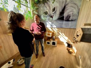 Fuengirola pide colaboración contra el abandono animal y mantiene su campaña de adopción gratuita de mascotas