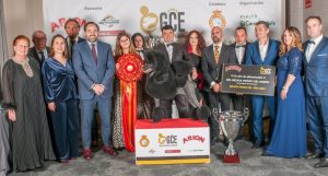 El cántabro Rubén Sánchez y su caniche gigante 'Norte', premiados en la I Gala de Criadores de España