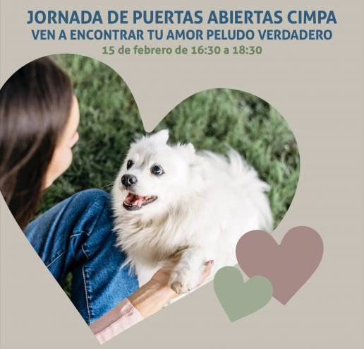  El Servicio de Protección Animal comparte sus historias de amor y adopción de mascotas por San Valentín