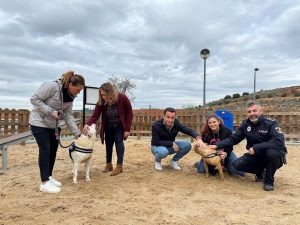 El Ayuntamiento de Campo Real lanza una plataforma para promover adopción de 28 perros abandonados quitando todos los costes