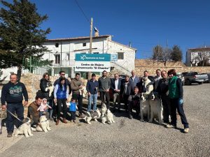 La Diputación de Teruel entrega nuevas crías de mastín del Pirineo de su programa de reproducción