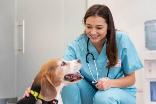 Impacto de la presión positiva al final de la espiración y la maniobra de reclutamiento en pulmones sanos en perros evaluados por métodos de monitorización funcional y anatómica