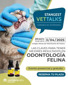 Llega la 6ª edición de Stangest Vet Talks sobre Odontología Felina”