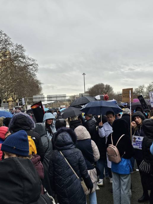 Los Veterinarios de Toledo se suman a las movilizaciones contra la ley de medicamentos veterinarios