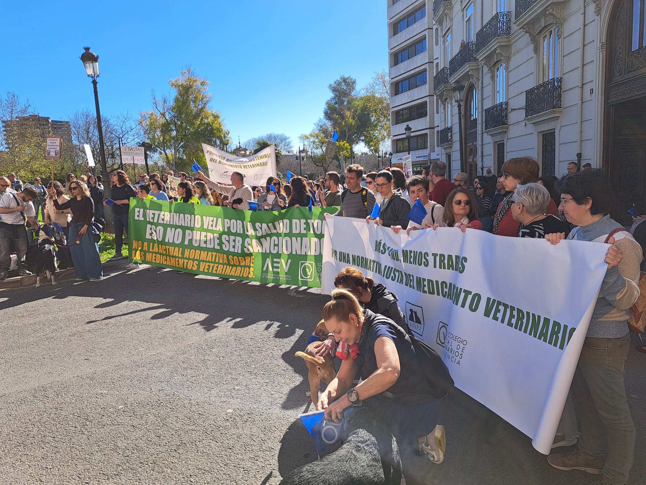 Los veterinarios protestan en Valencia y piden la retirada de PRESVET y cambios legales para hacer más accesibles los medicamentos