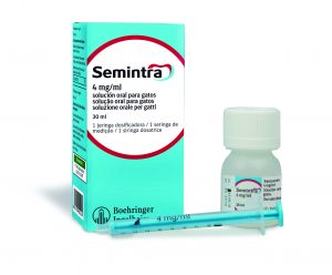Boehringer Ingelheim lanza al mercado SEMINTRA® 4 mg/ml para gatos con enfermedad renal crónica y/o hipertensión