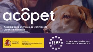 Más de 100 animales de mujeres víctimas de violencia de género han sido atendidos desde 2023 en el programa 'Acopet'