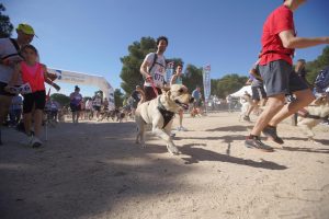 La carrera para vecinos y sus perros CaniCross vuelve el 6 de abril