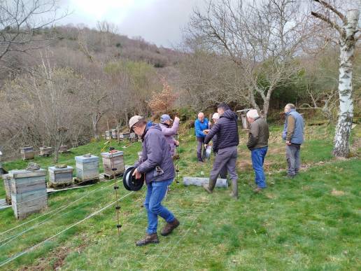 Apicultores campurrianos colaboran con FAPAS para prevenir daños del oso pardo en sus instalaciones