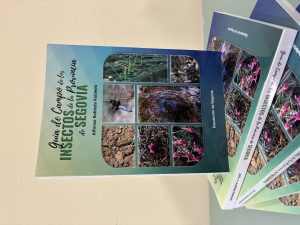 La Diputación de Segovia publica una guía con las casi cuatro mil especies de insectos de la provincia