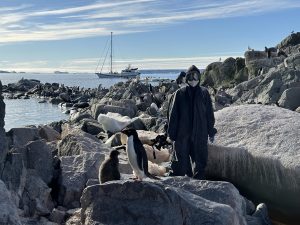 CSIC y UNESPA detectan unos 200 animales infectados con gripe aviar en 24 localizaciones de la Península Antártica