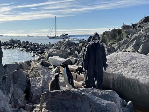 CSIC y UNESPA detectan unos 200 animales infectados con gripe aviar en 24 localizaciones de la Península Antártica