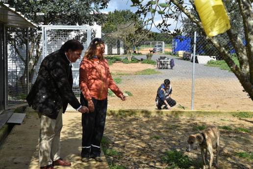 Puntanimals recibe la licencia de su nuevo refugio, que dará un 