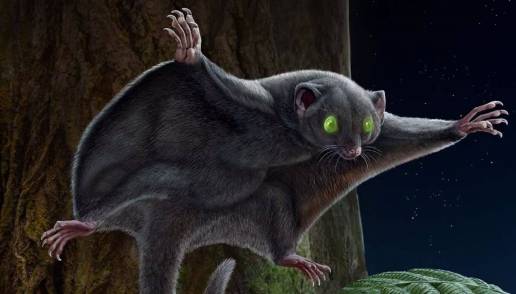 Los primeros mamíferos eran de color oscuro