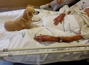 La unidad de cuidados paliativos del Hospital Civil pone en marcha el programa 'Tu mascota te acompaña'