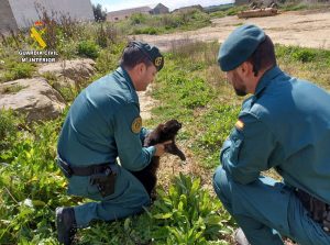 El SEPRONA investiga a un menor por un supuesto delito de maltrato animal en un colegio de Huesca