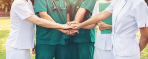 Los veterinarios de Toledo destacan el valor del trabajo en equipo como clave para la salud global