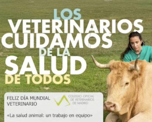 Día del Veterinario: Celebrando la Dedicación a la Salud Animal y Humana