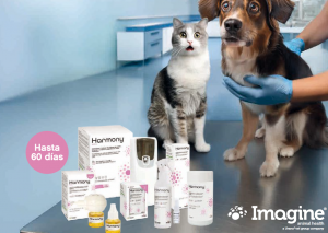 La relación entre el  olfato y las emociones