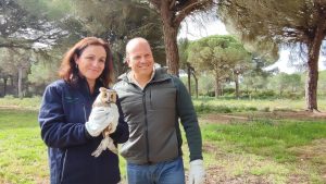 Junta libera en Puerto Real cuatro aves rapaces recuperadas en el Centro de Recuperación de Especies Amenazadas