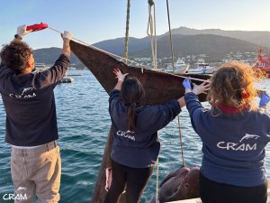 Rescatan a 69 animales marinos este año en Catalunya, más de la mitad que en todo 2024