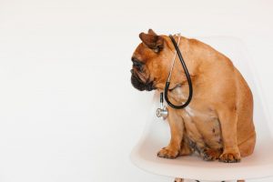 Obesidad, diabetes e hipertensión: los riesgos de salud silenciosos