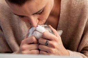 Los gatos reconocen el olor de su dueño
