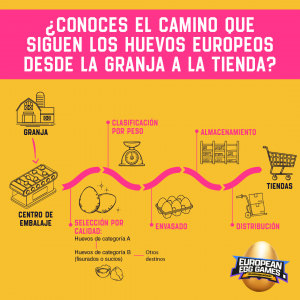 La trazabilidad del huevo europeo garantiza la seguridad desde la granja hasta el plato