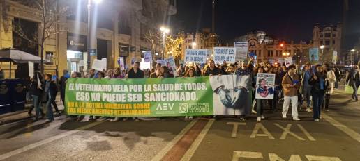 El CVCV logra que el Ayuntamiento de Valencia, Les Corts y el Senado apoyen las protestas de todos los veterinarios españoles