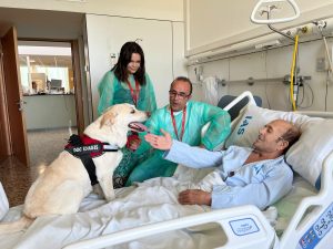Purina España colabora con el proyecto pionero HospiGos para facilitar el reencuentro entre pacientes hospitalizados en el Hospital Santa Caterina de Girona y sus perros