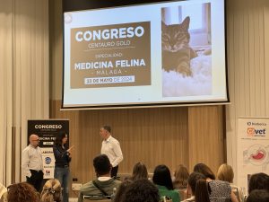 Abiertas las inscripciones para el Congreso de Medicina Felina de Centauro en Sevilla