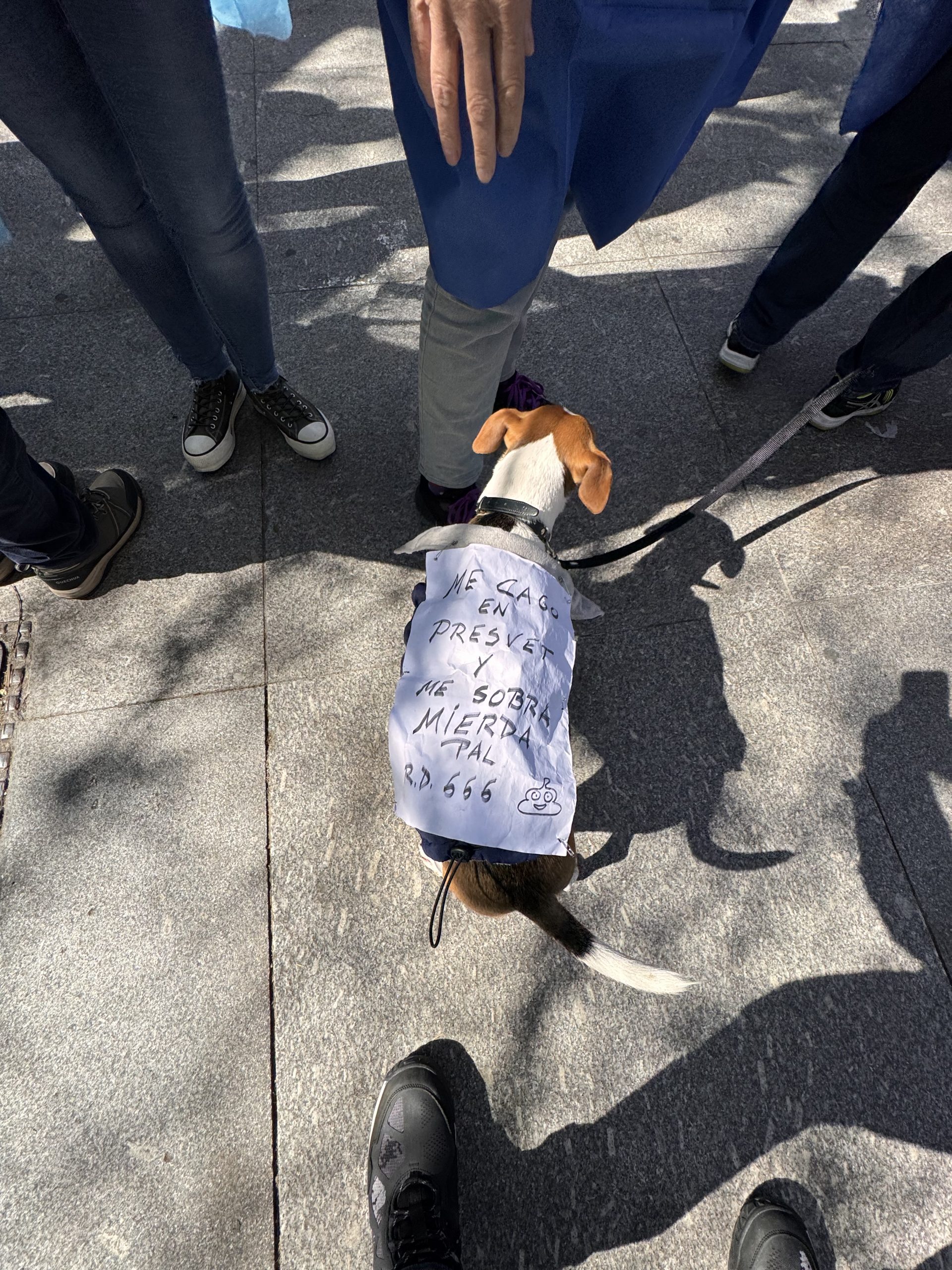 Veterinarios en pie de guerra: La concentración frente al Congreso de los Diputados